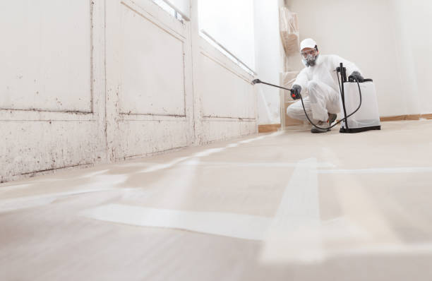 Black mold remediation team in Hershey